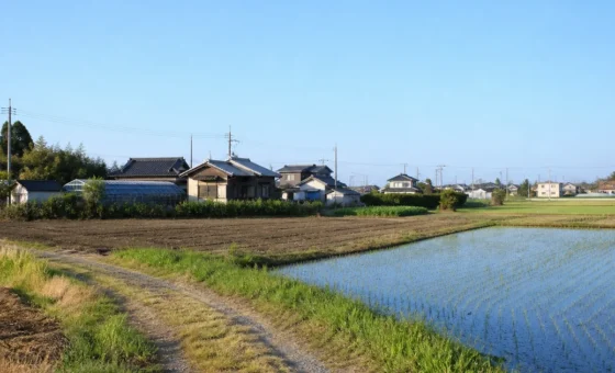 相続農地｜坂東市の相続不動産を確認するイメージ